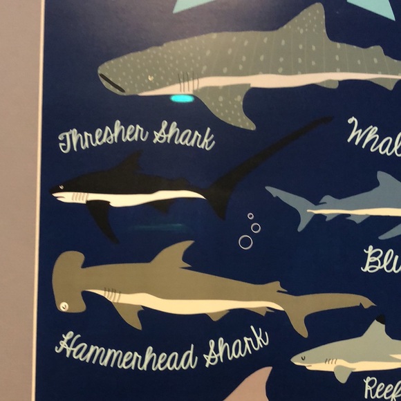 Framed art work of sharks - Picture 4 of 10